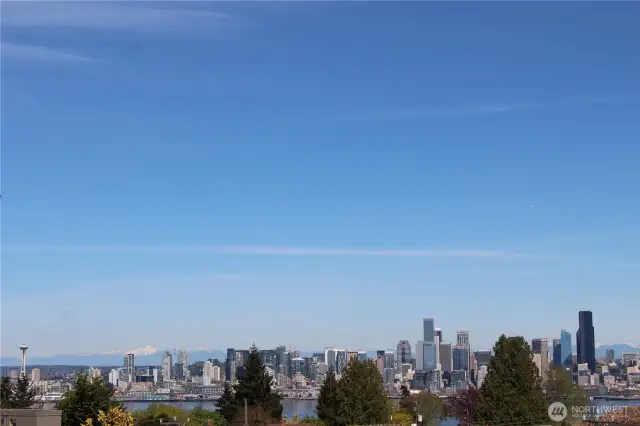 Roof Top Deck - Amazing City Skyline View