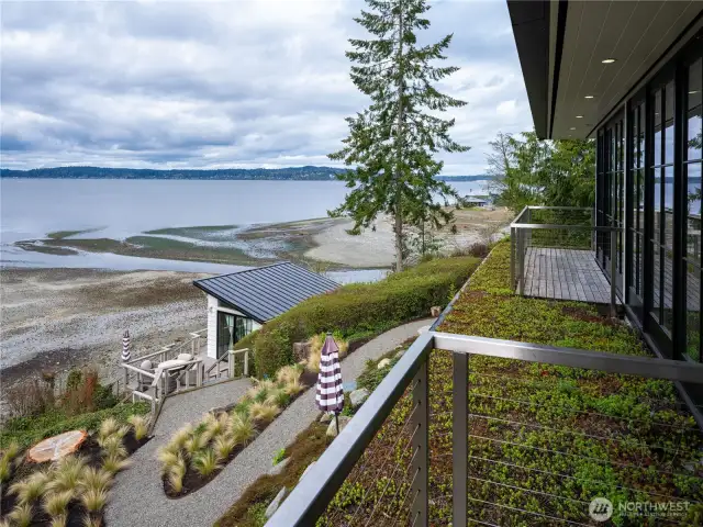 The living roof and balcony decks off the primary suite and second bedroom.