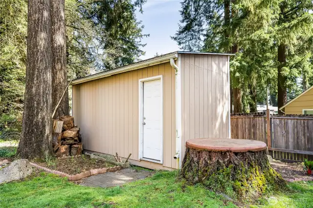 Backyard shed.