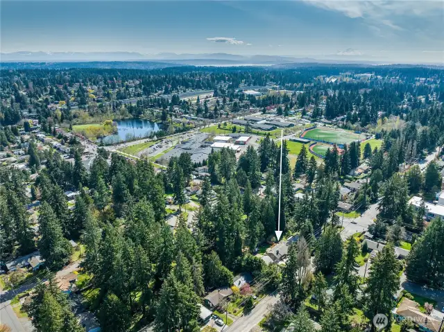 Aerial view looking SE. Mount Rainier is in the upper right.