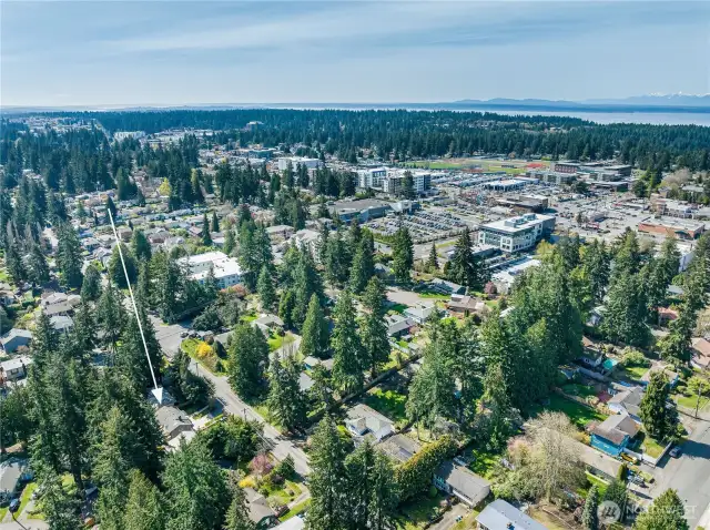 Aerial view looking SW. Puget Sound and the Olympic Mountains are in the upper right.