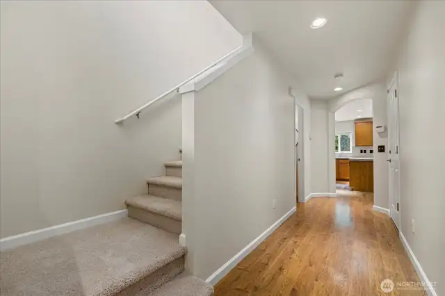 Main entry.  New carpets throughout