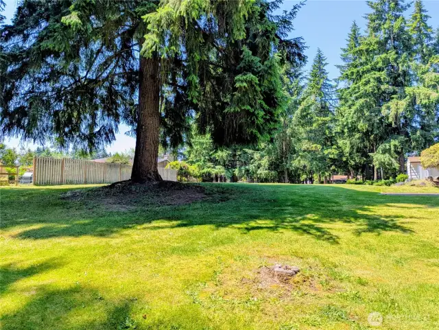 From creek area looking west