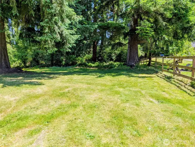 South side of Property looking east toward creek