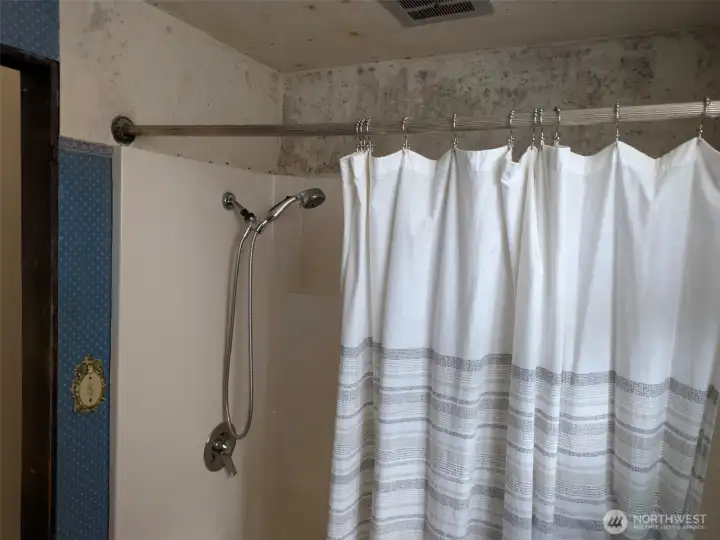 Tub shower