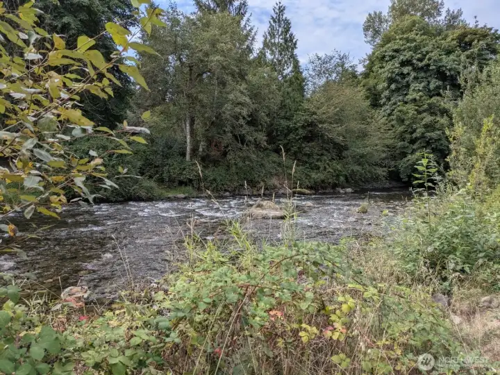 Cedar River