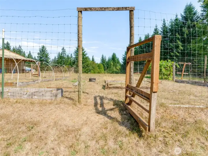 Large Fenced Garden