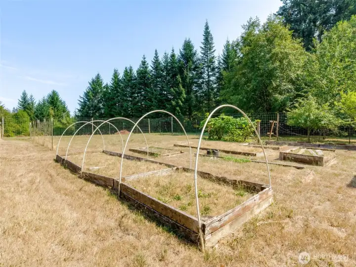 Raised Beds
