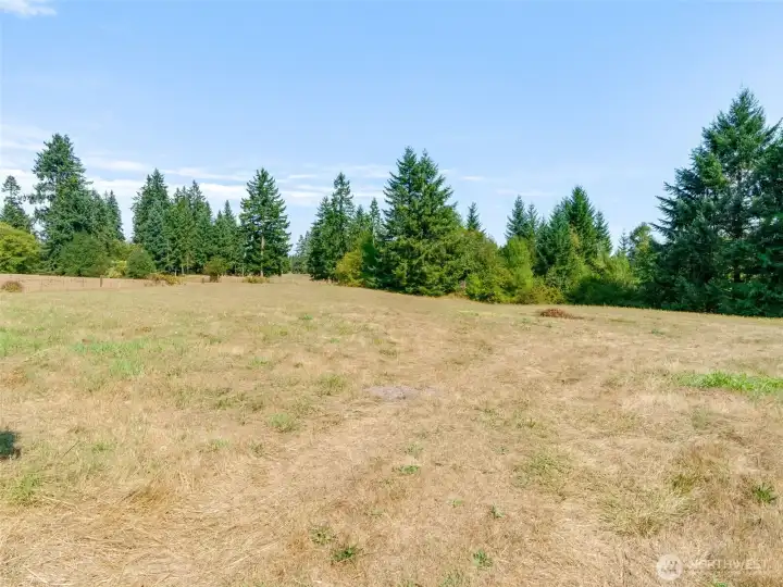 Fenced Field for??