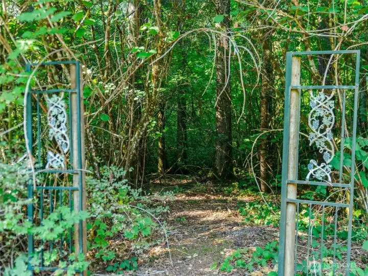 Woods for Trails
