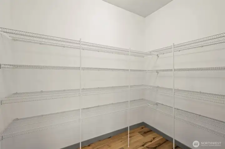 Oversized walk-in pantry off of the kitchen