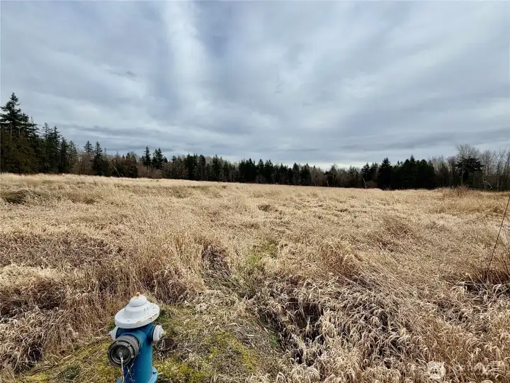 Water and Electricity in Street