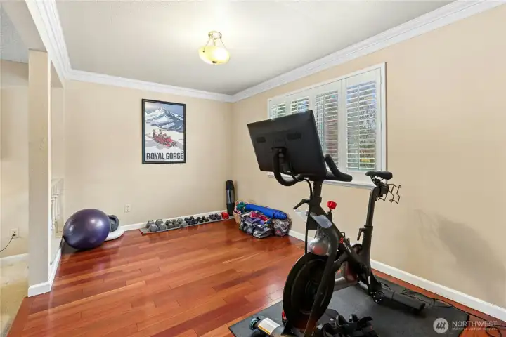 Flex space, ideal for home gym or reading  or music knook.