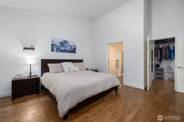Main level Primary bedroom, spacious with engineered hardwood floors.