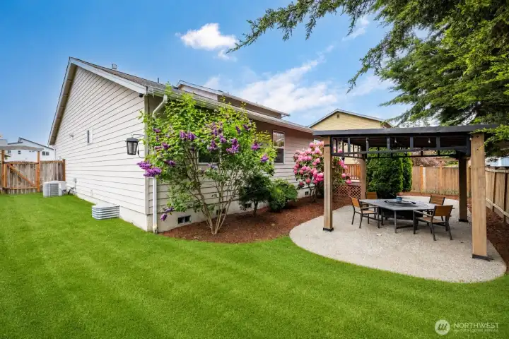 Backyard patio and pergola, with mature landscaping for privacy.