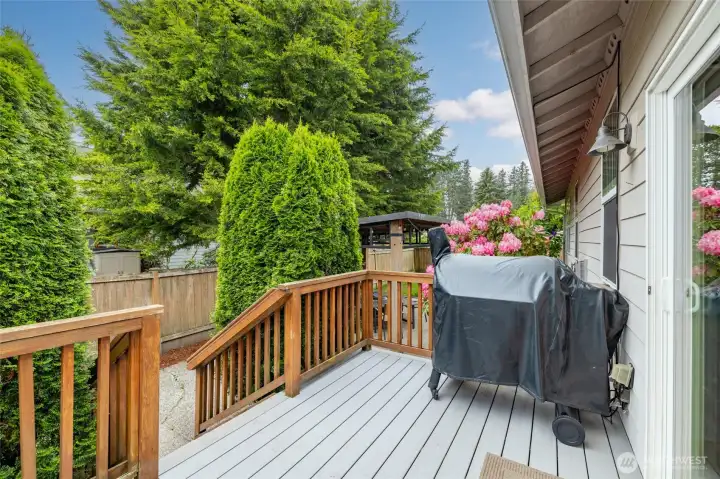 Back deck for entertaining, low maintenance, cement board planking.