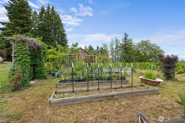 Fenced Garden