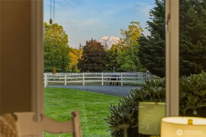 Mt.Rainier Views