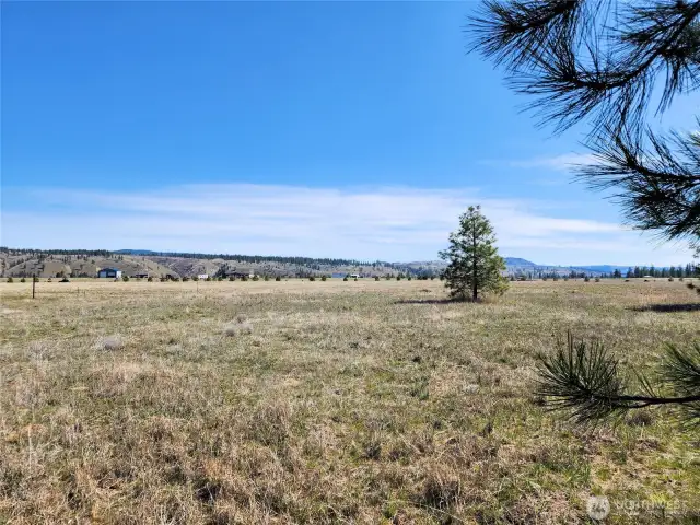 This is the east end of the property. The tree in the distance is almost to the property line.