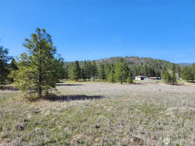 This is from the east end of the property looking west at the property and structures (through the trees).