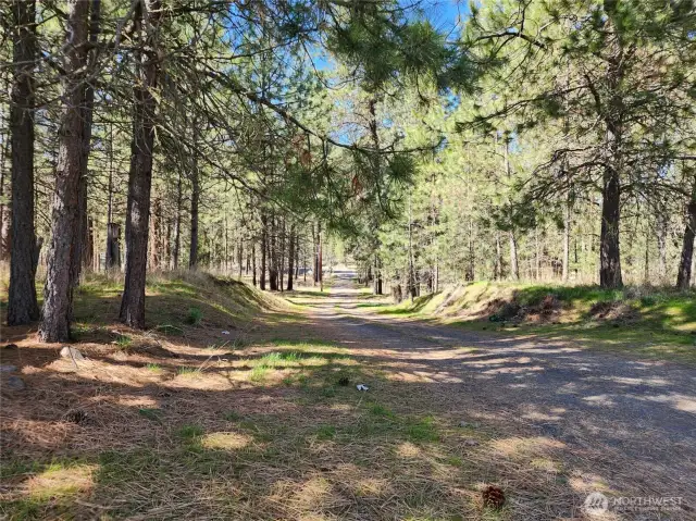 The driveway leaving the property.
