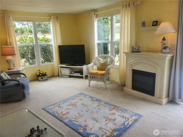 Electric fireplace in great room
