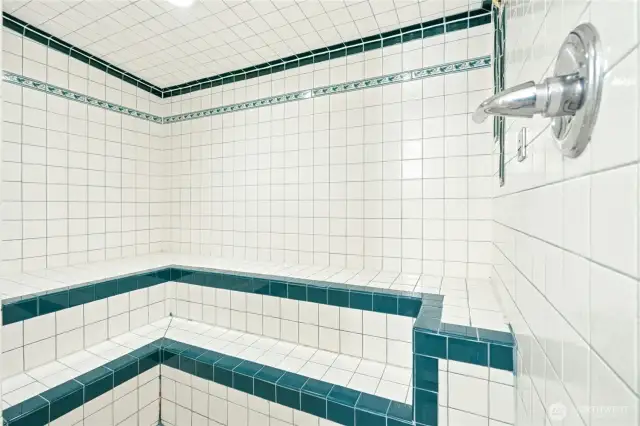 Stream Room/Shower