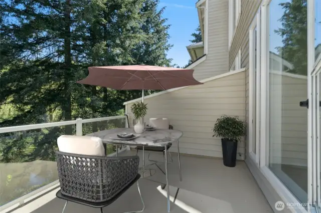 View Deck....looks out over...