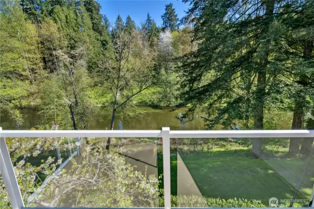 the Sammamish River