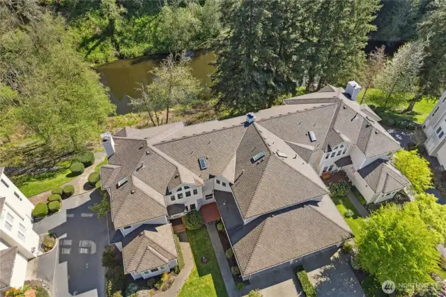 Drone View