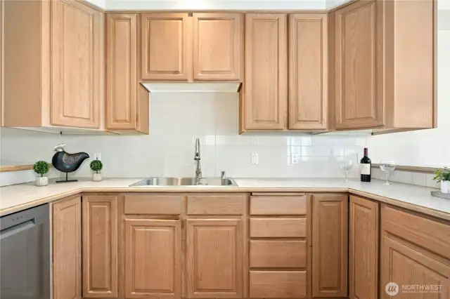 Lots of Cabinet/Counter Space too
