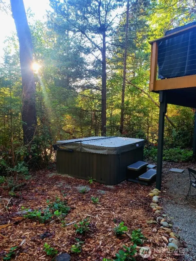 Private hot tub area just outside of the family room downstairs.