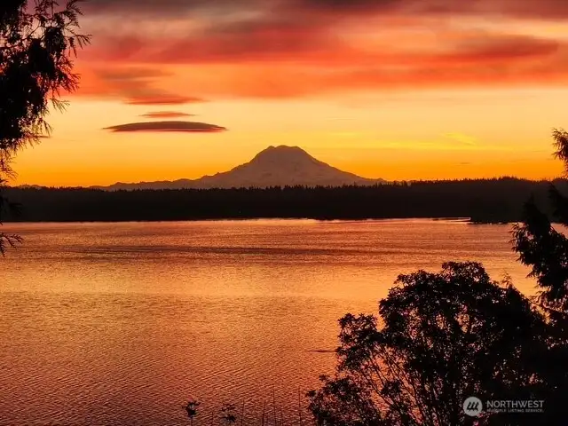 From backyard. Mt Rainier on a clear day!