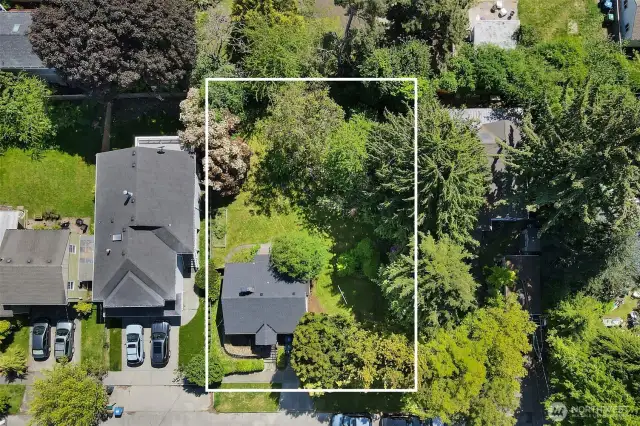 One of the largest lots left in the area. 75x102. Fully fenced and very private due to large bushes. Primary home sits ideally to the far left of the property possibly making way for a DADU driveway on the right side.