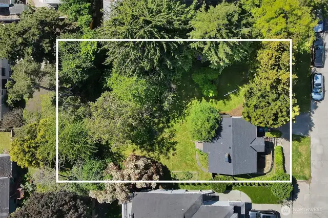 One of the largest lots left in the area. 75x102. Fully fenced and very private. Primary home sits ideally to the far left of the property possibly making way for a DADU driveway on the right side. Parking cut out right in front of home.