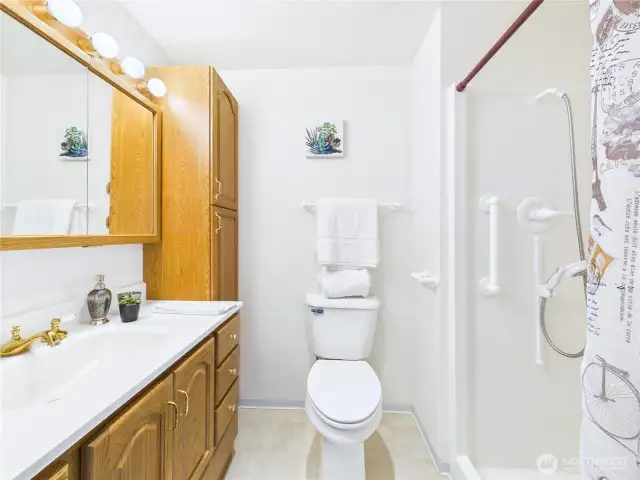 Ample counter space and storage and a step-in shower. What more would one need?