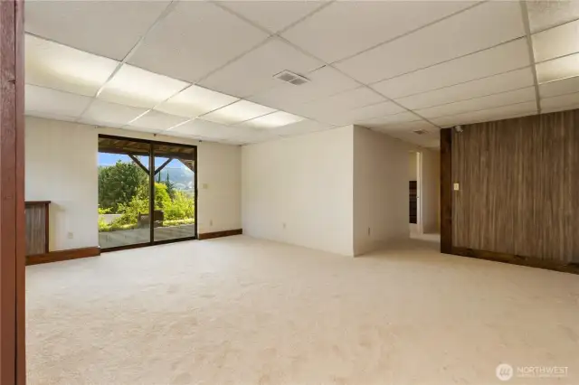 Lower level family room with sliding doors to the patio & yard