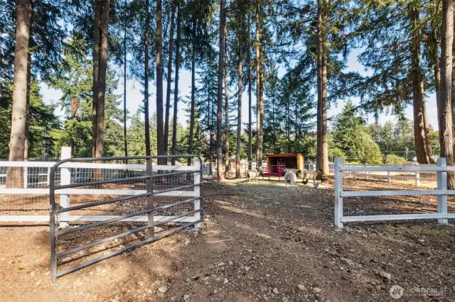 Bring the animals PLUS works for horses too! With plenty of room for additional cross-fencing!
