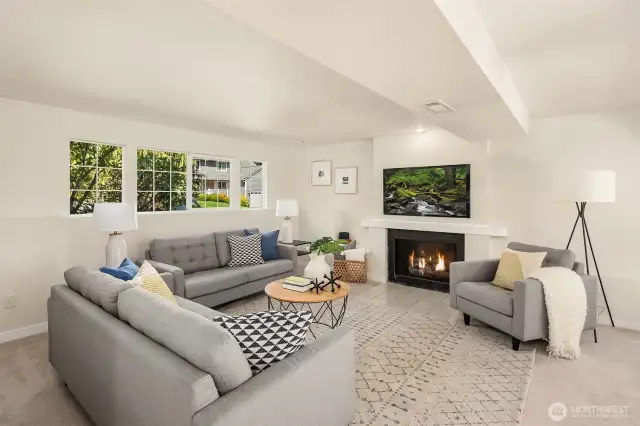 Lower level family room.