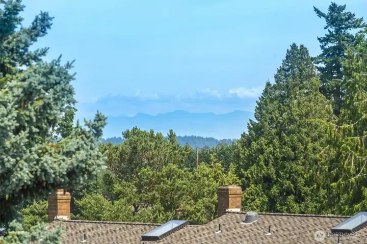 Beautiful views from deck and primary.