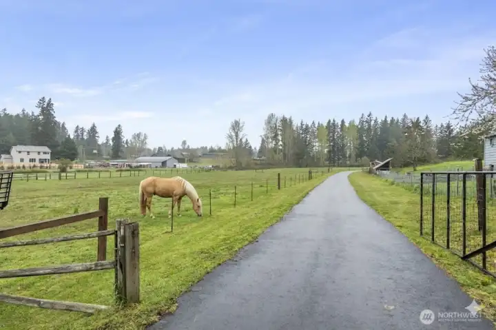 Welcome Home to your Mini-Farm.
