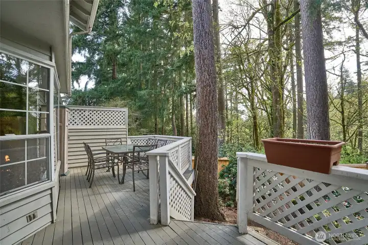 Here is a larger view of the privacy deck.