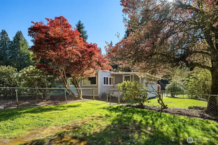 Great old Trees to go with Classic Home, Huge Open bay Carport.  1/2 Acre Lot almost fully fenced.