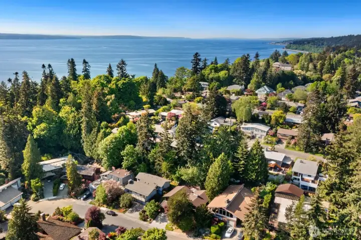 Looking northwest - such a gorgeous neighborhood. Thank you for stopping by!