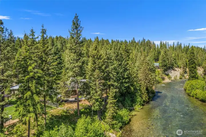 Aerial View of Forested Surroundings