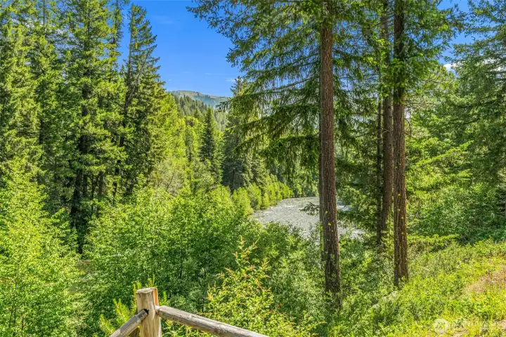 Private Forest and River Setting