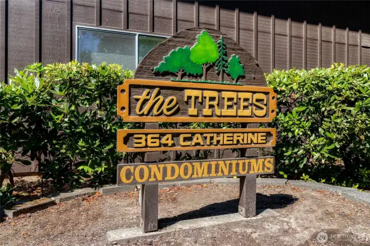 Welcome to the Trees!
