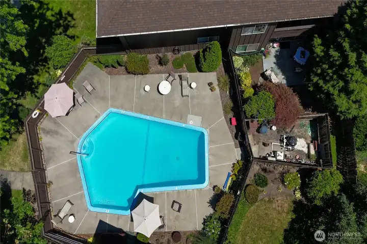 a wonderful fenced in pool for the Trees community to enjoy.