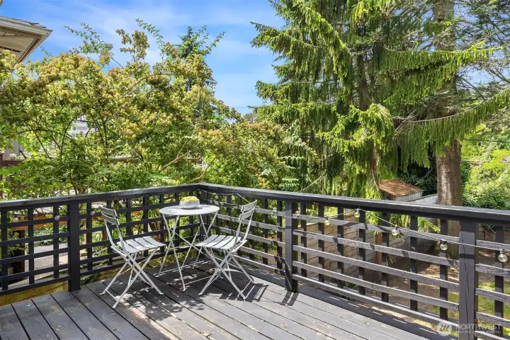 Deck off kitchen & bedroom