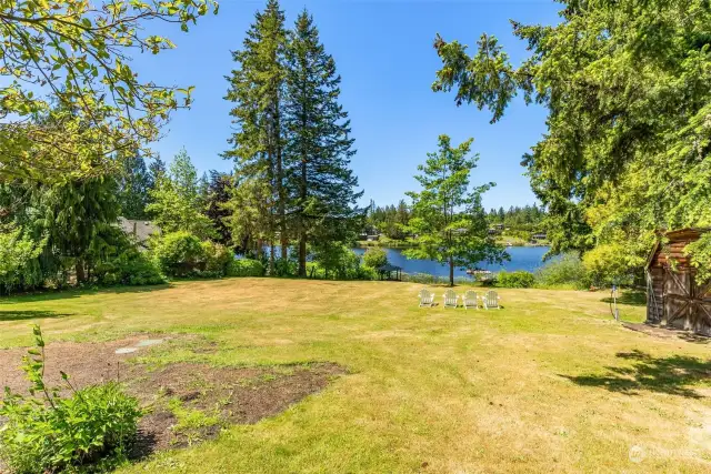 fenced backyard oasis